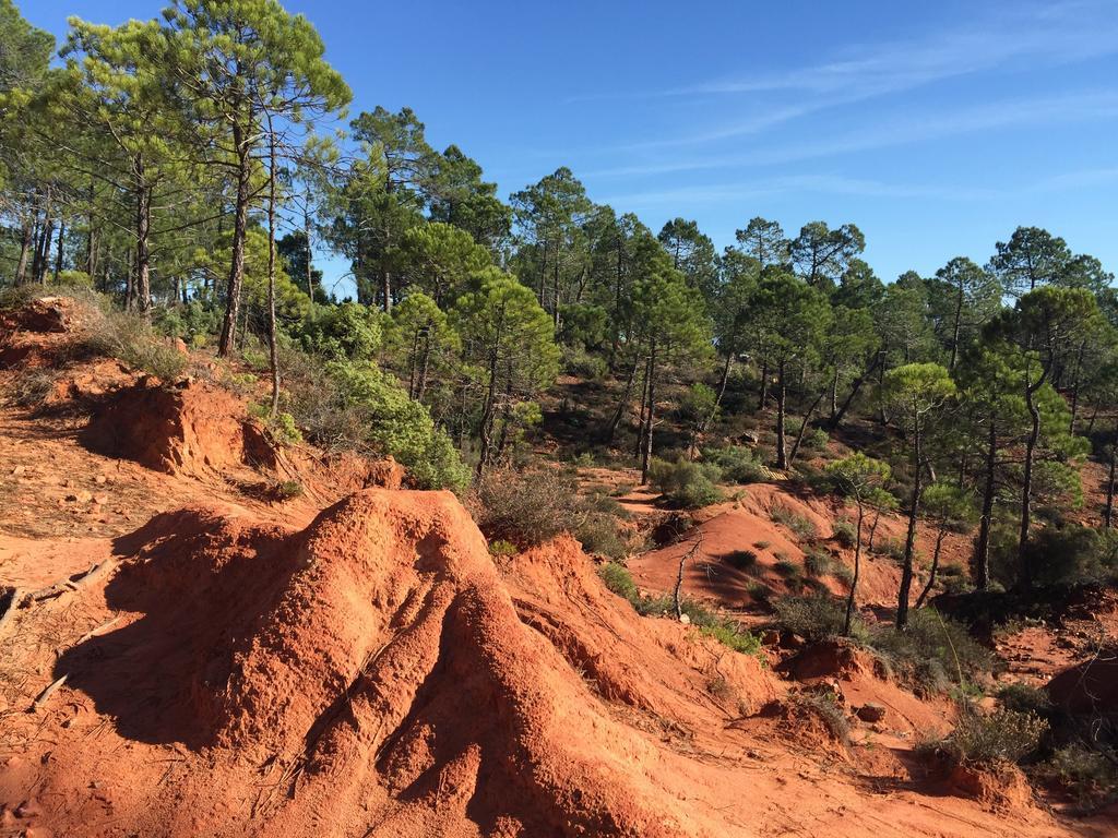 Le Chant Du Coeur Roussillon en Isere Esterno foto